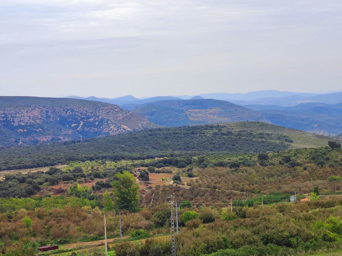 tombatossalator's tweet photo. Exigisc el dret a somiar,
a abrigar-me sota els teus ulls,
a mirar els mateixos estels,
a acariciar-nos l'ànima,
a assaborir cada dia.
A cercar el nostre camí, plegats i feliços.
AGP, Trossets.
#BonDia #AltMaestrat #testime #brollamots #TantDeBoFossisAquí https://t.co/XpITf53DtC https://t.co/M4kra5EfS9
