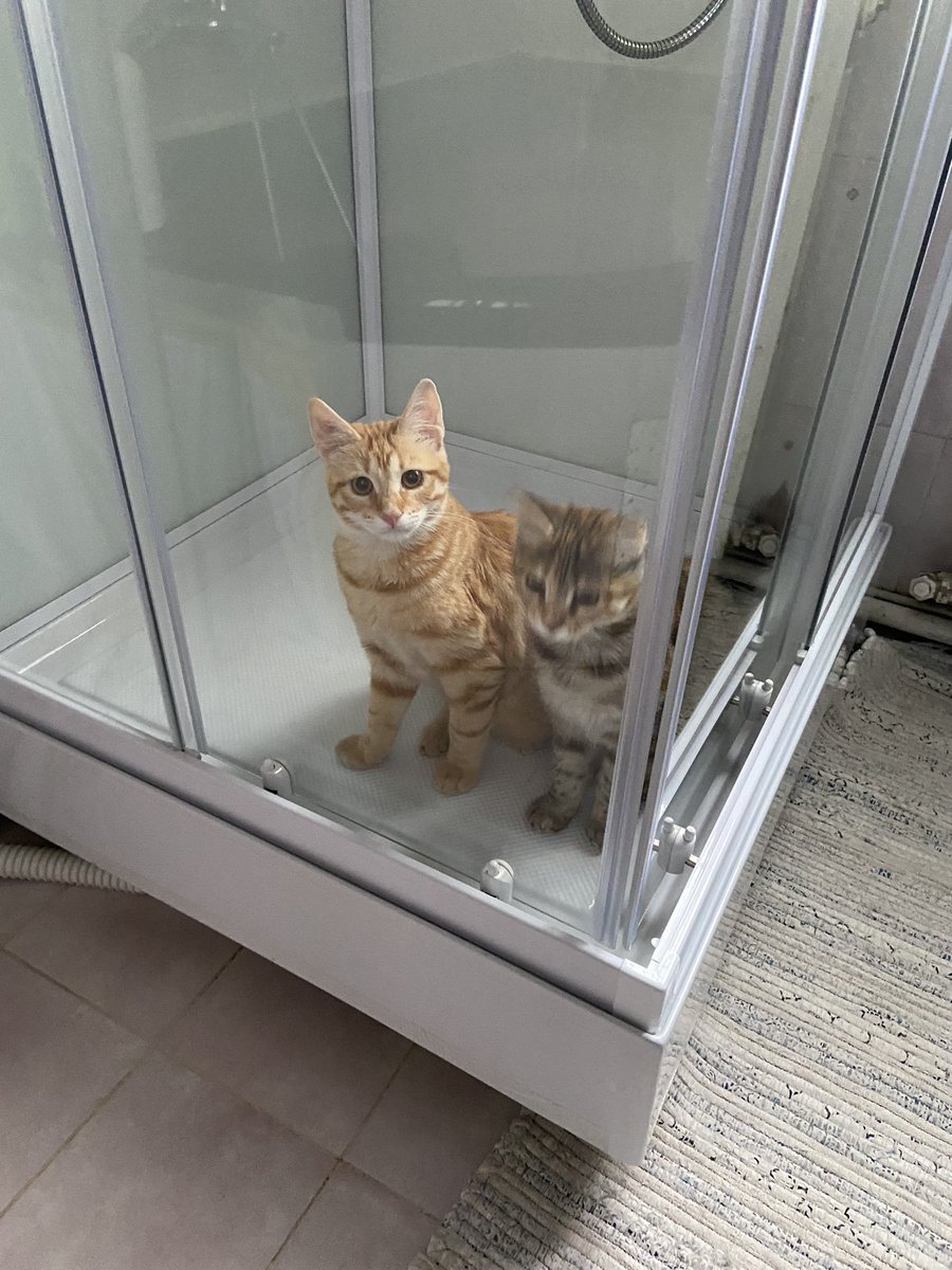 Delphine VERRIER tweet media