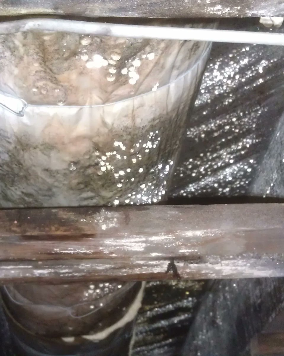 TerraHomeInsp's tweet photo. The dew point in this house was so high it was raining from the 1st floor structure as viewed from the basement.

#watchung  #homeinspector
 #warren #berkeleyheights #NJ  #homeinspection #westfield #firsttimehomebuyer #buyingahome #Google #Millburn #inspection #mold #toxic https://t.co/8NLRkoExx5