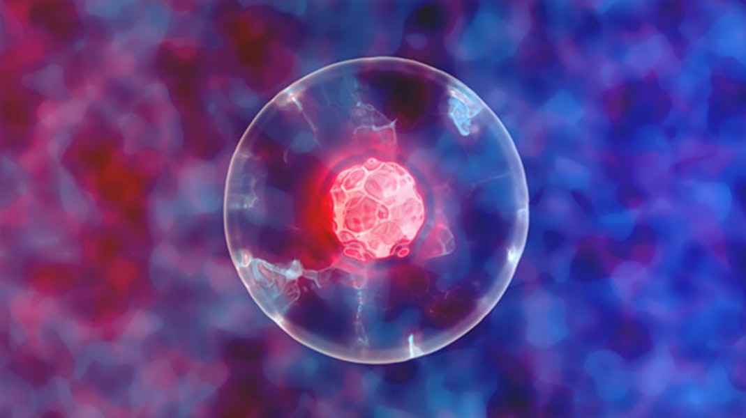 bios_community's tweet photo. Frontier Perspective 🔬: High-Throughput Single-Cell Manipulation 🧫

Hear more about the key trends &amp; emerging spaces of this breakthrough science!

Click below to access now...

https://t.co/awPr4Hjevg https://t.co/sMUTGaZhmH