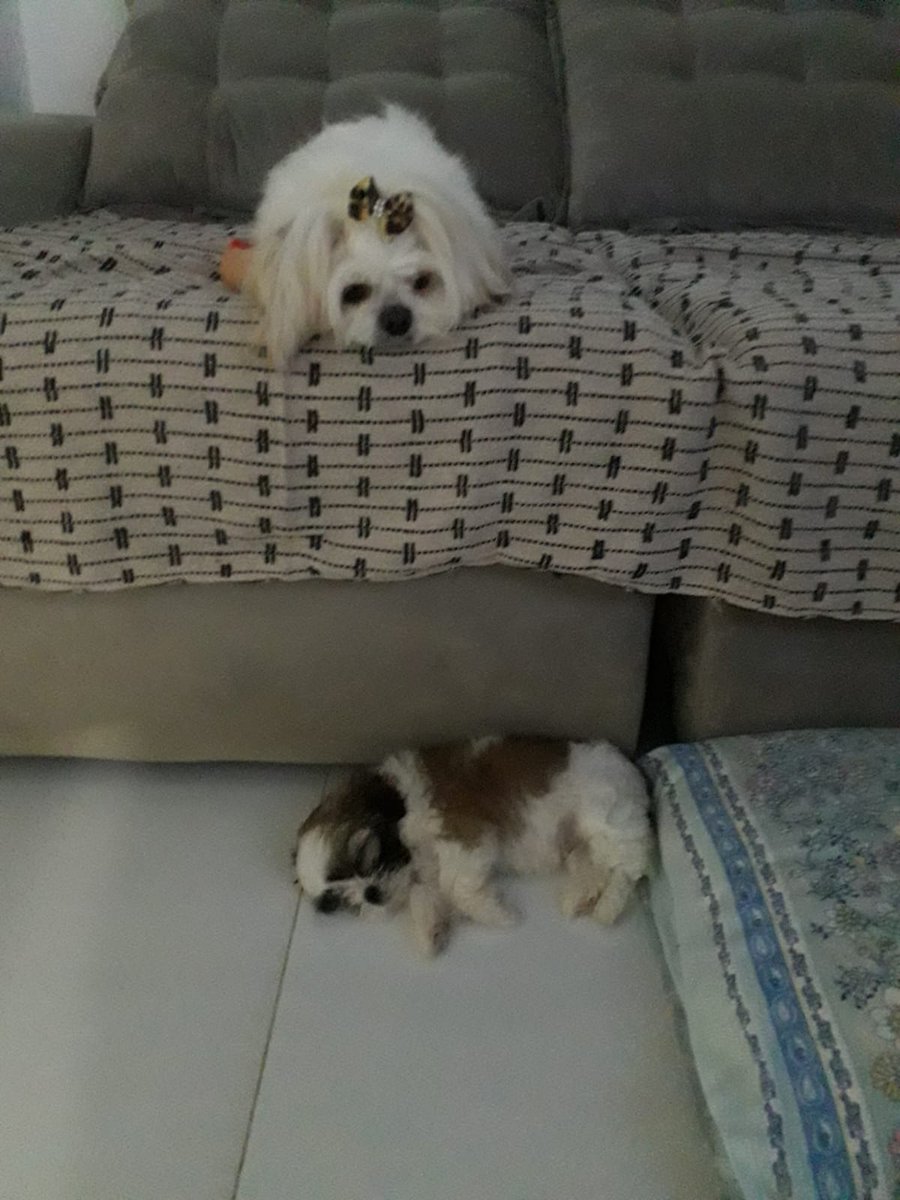 Irmã vigiando irmão kkkkkkk