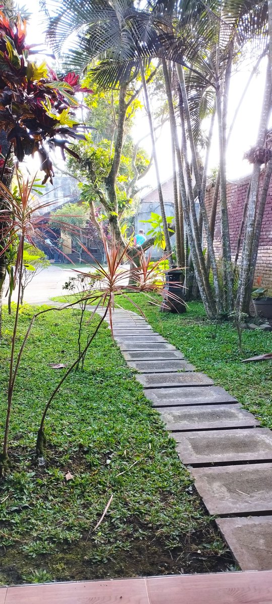 NF_Saifuloh's tweet photo. #Malang https://t.co/e9VFDIkL0w