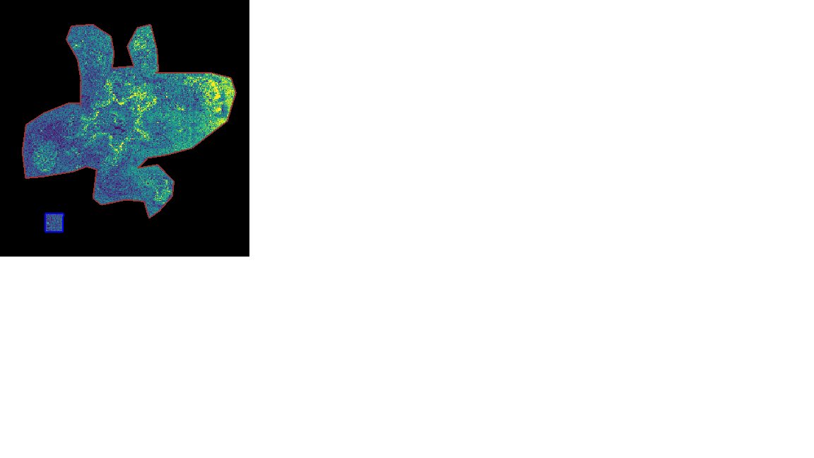 #FleXFridays | Episode 7: « The Cloud Shape Game ». Some ion images from last week scan on #timsTOFFleXMALDI2. I see a dog’s head, what do you see? <a href="/Ying82693016/">Ying</a> <a href="/SethMalloyHTL/">Seth Malloy</a> @HistomanSIMR  <a href="/ScienceStowers/">Stowers Institute</a>