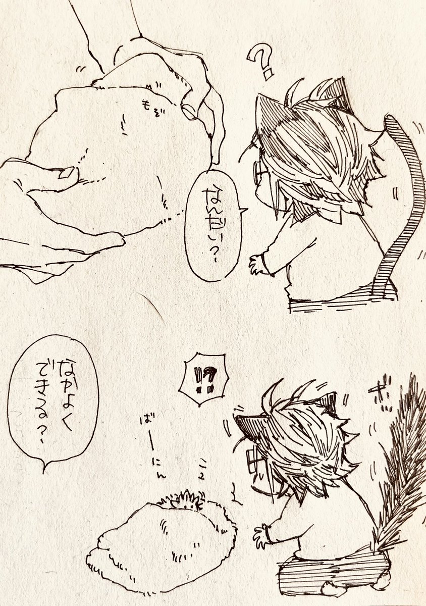 ねこの出会いも合縁奇縁

https://t.co/rOxjVy9AGj 