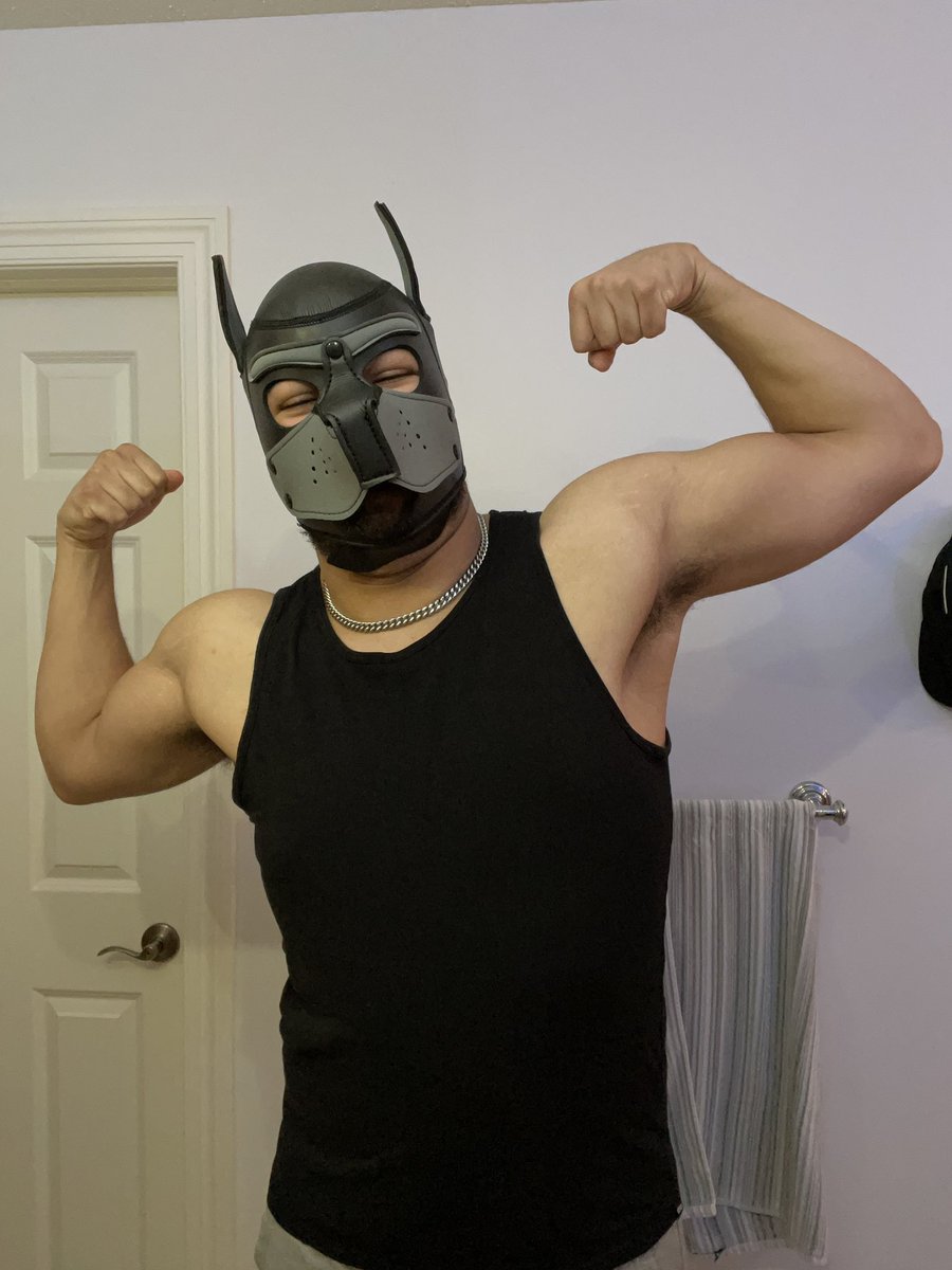 littlemoopup's tweet photo. evening flex #musclepup https://t.co/6ZzPCeePV2