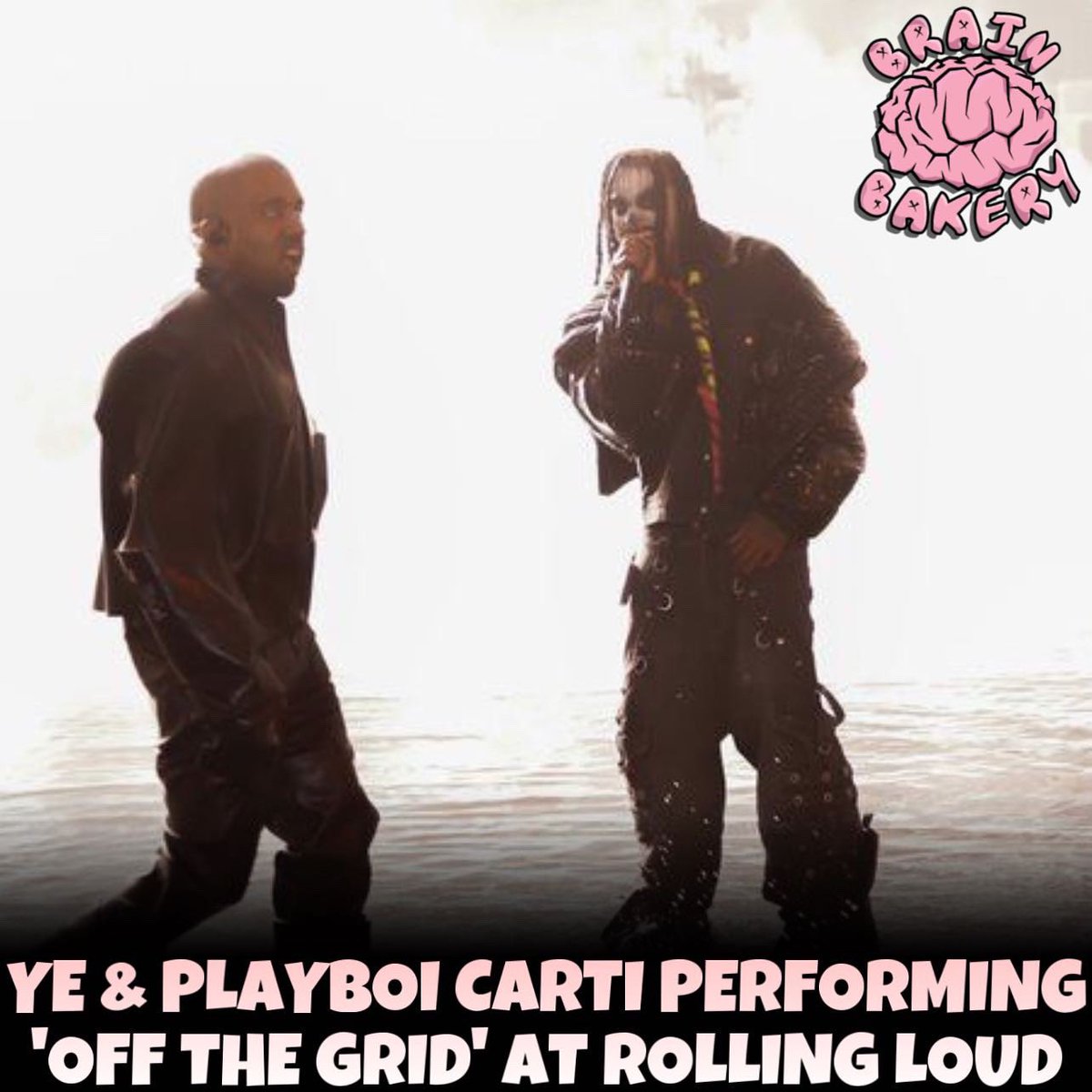 Brain Bakery Mag 🧠 tweet media