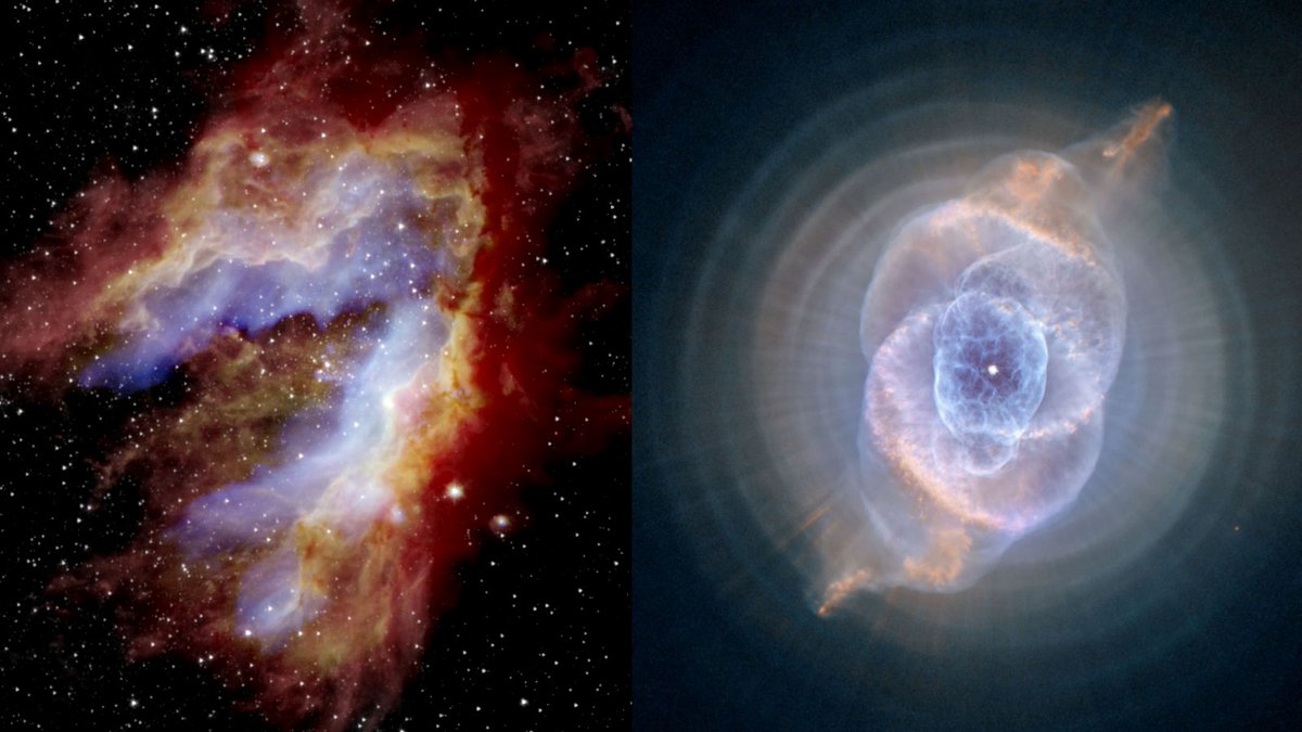 Swans vs Cats
#AFLGF 
#Nebula