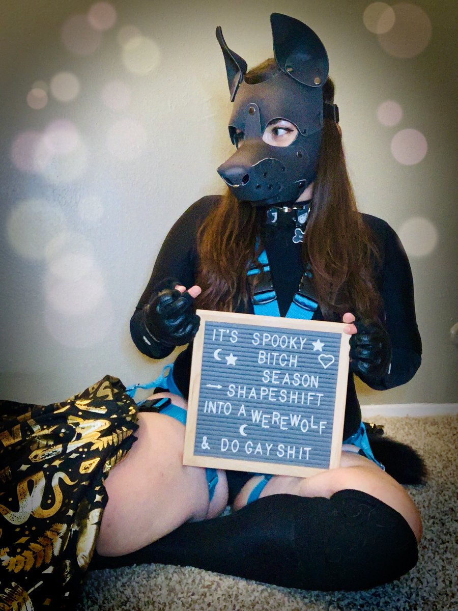 I am HERE for spooky bitch season let’s gooooo 👻 

#PupPlay