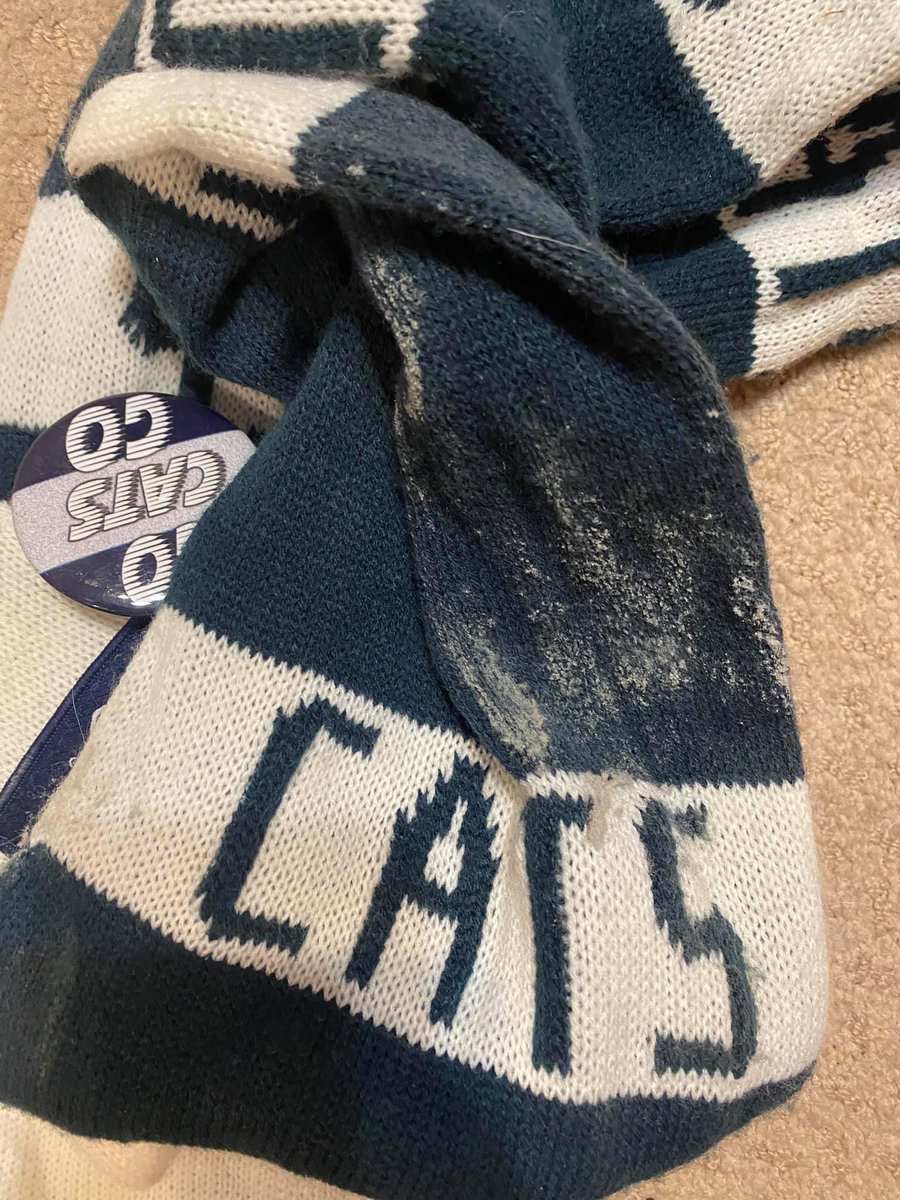 Dusting my scarf off again. Go cats!