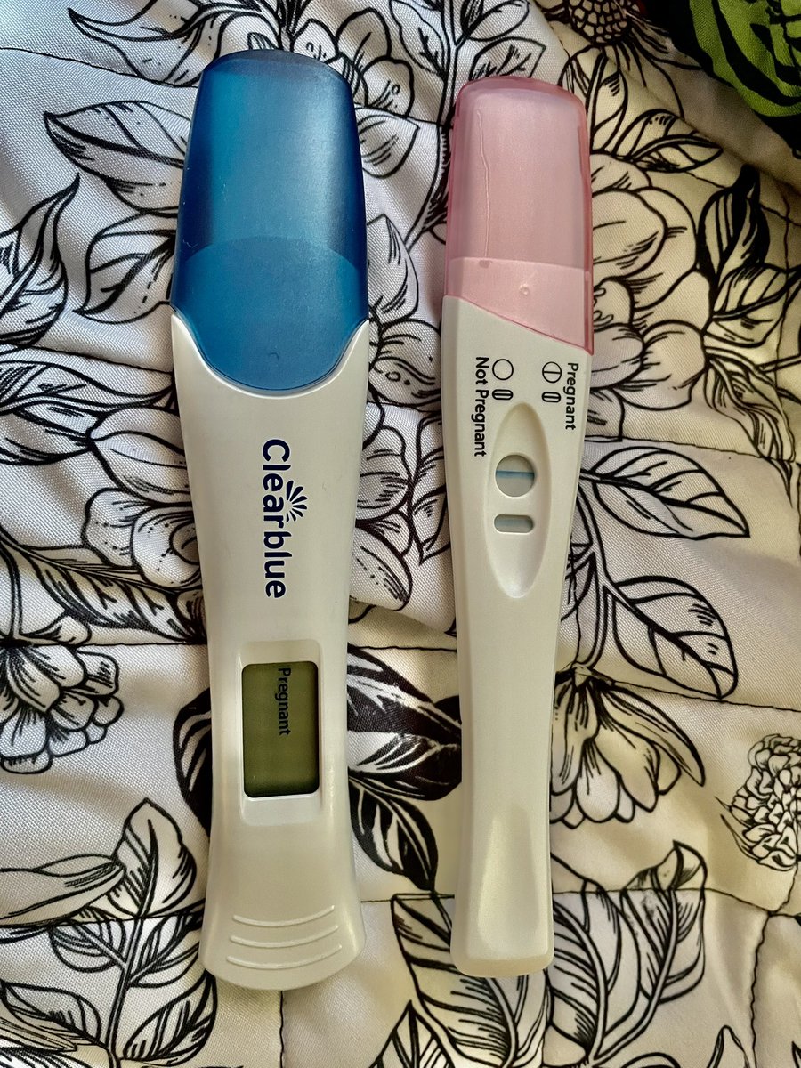 vicesqueda02's tweet photo. Life update 🤍✨ https://t.co/mVmnnniWyC
