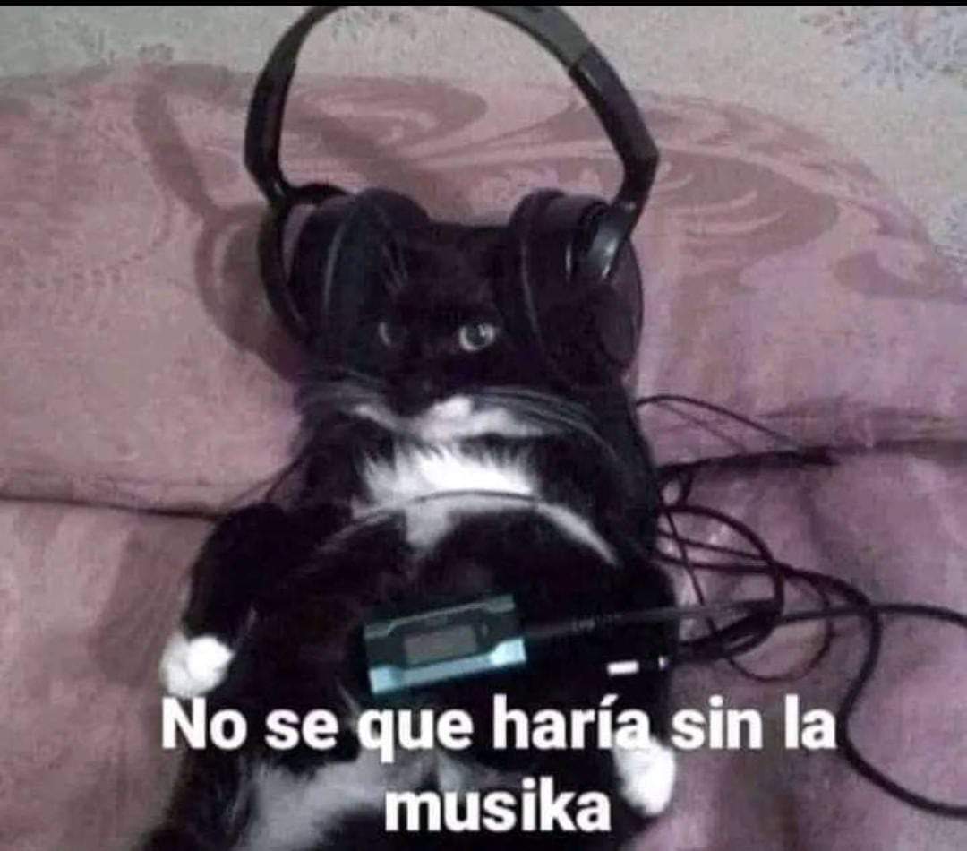 Porque vamos comenzando de nuevo