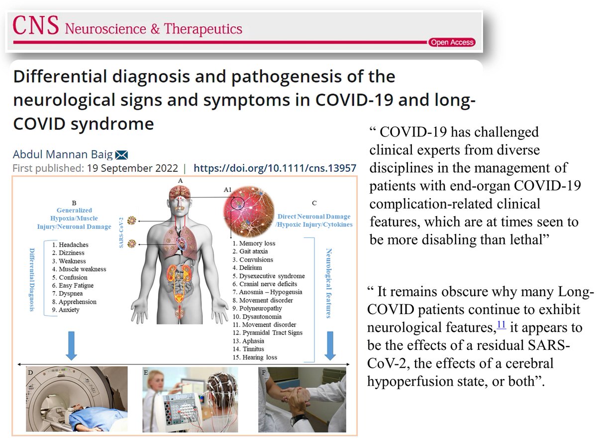 A. Mannan Baig (Ph.D., MBBS) tweet media