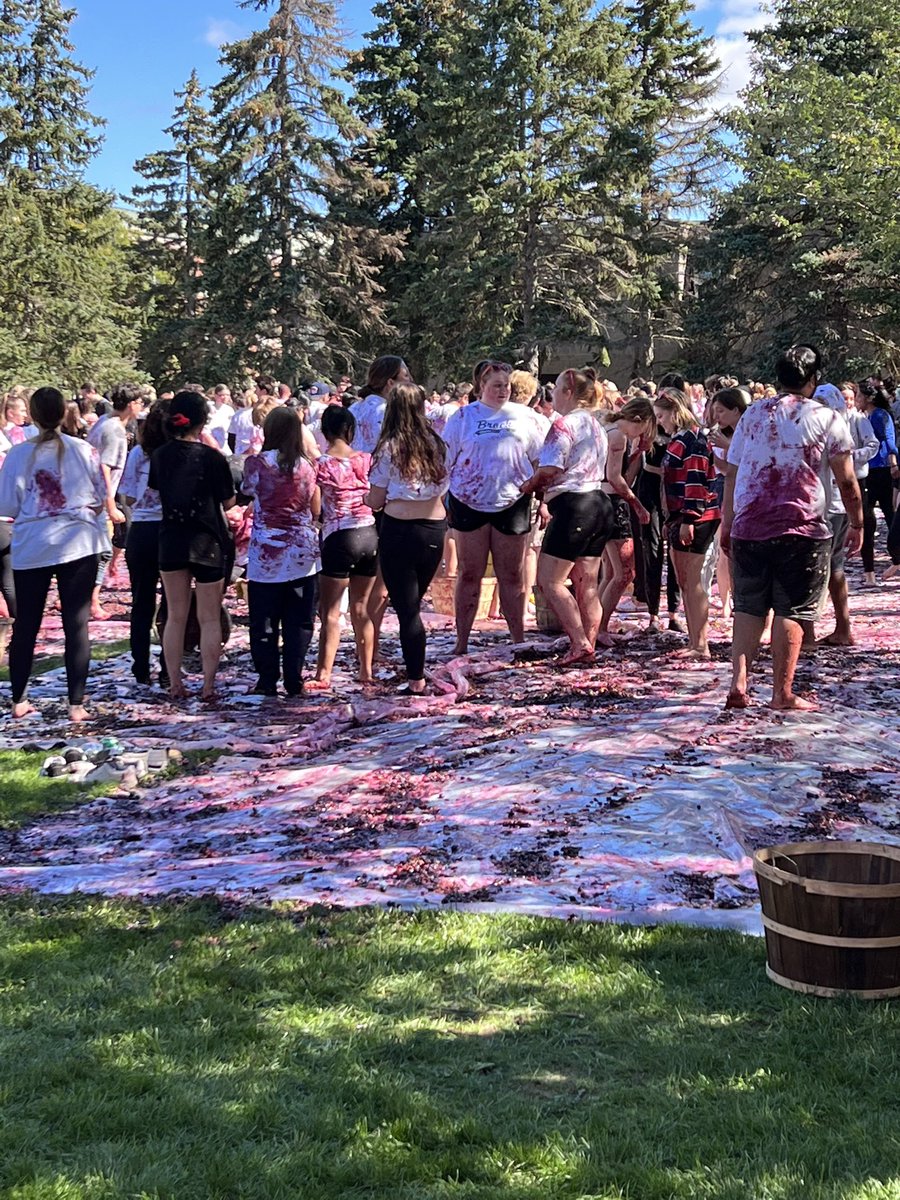 rohalloran00's tweet photo. What a great day! Today we helped kick-off the year with #Homecoming celebrations including the #GrapeStomp and #SteelBlade. 

So exciting to see all the students bringing their Brock Spirit and representing at @BrockUniversity. https://t.co/mE01EpBtgU