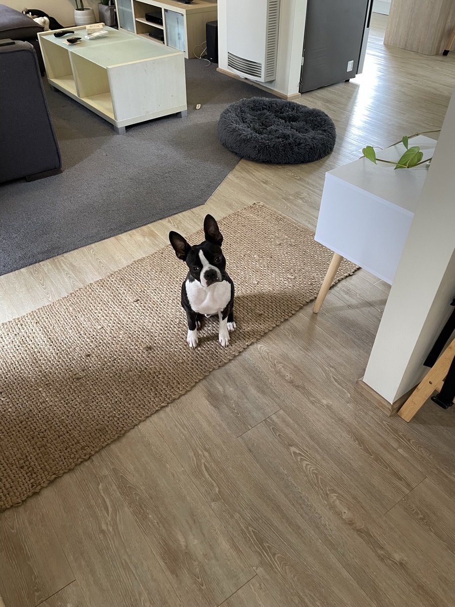 Chris Mackay tweet media