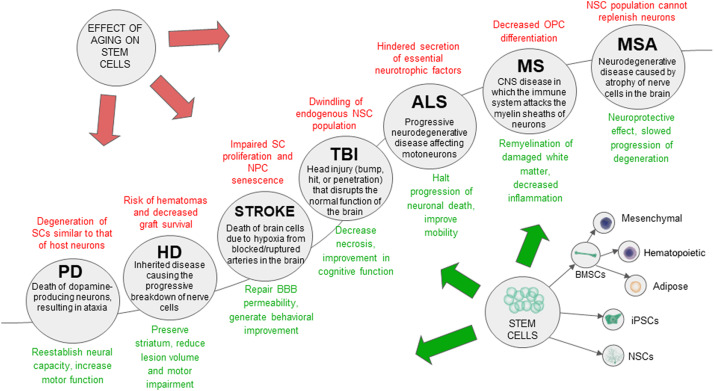 Get Now Stem Cell Therapy for Neuro disorder diseases like ALS or MND, Parkinson's, Stroke Disease, Autism, Cerebral Palsy, Muscular Dystrophy, Alzheimer's, and Multiple sclerosis with high success rate.

#Advancells #STEM #stemcells #neuroscience #health #HealthyFaithChat