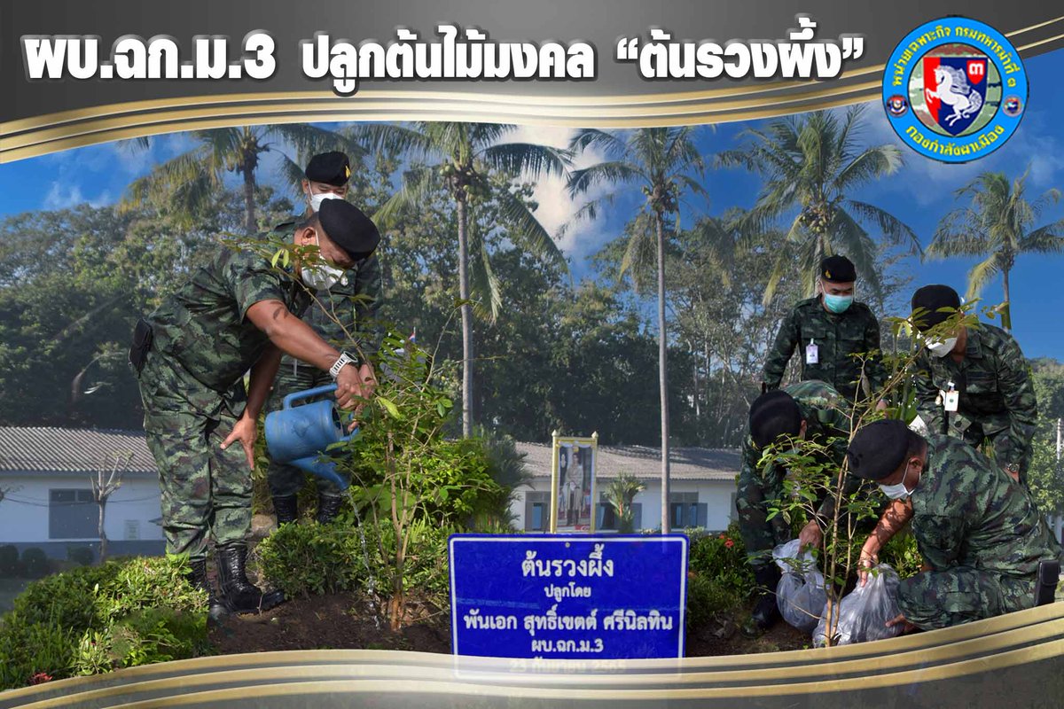cav3regt's tweet photo. พ.อ. สุทธิ์เขตต์  ศรีนิลทิน ผบ.ฉก.ม.3 นำคณะนายทหาร ปลูกต้นไม้มงคล ต้นรวงผึ้ง เพื่อความเป็นสิริมงคล และน้อมสำนึกในพระมหากรุณาธิคุณ  อีกทั้ง ต้นไม้ยังเป็นสัญลักษณ์แ��่งความอุดมสมบูรณ์ และแผ่กิ่งก้านสาขาให้ความร่มเย็น ณ หน้า บก.ฉก.ม.3 อ.เมือง จว.ช.ร.
#หน่วยเฉพาะกิจกรมทหารม้าที่ 3 https://t.co/z79oJ795Mu