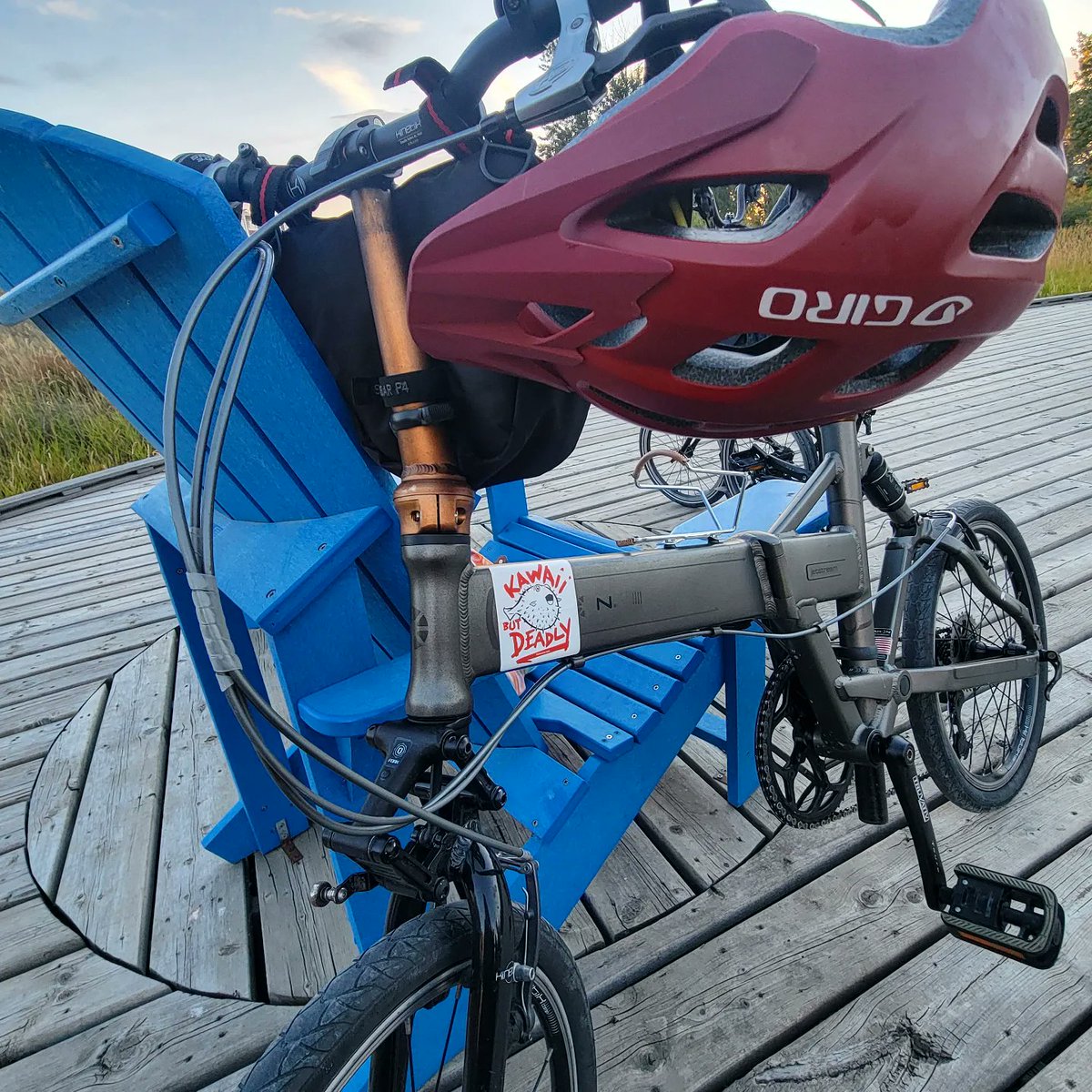 theaimlesscook tweet media