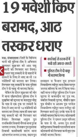 maupolice's tweet photo. आठ पशु तस्कर गिरफतार, कब्जे से 19 मवेशी बरामद। #UPPolice https://t.co/FXWh2DmhtR