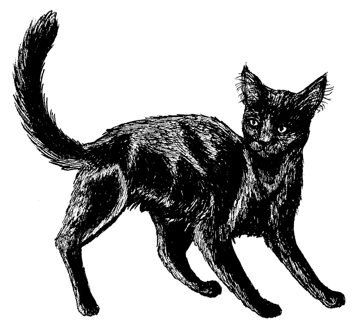 ☾⋆✧⋆ troy's artwork ⋆✧⋆☽ tweet media