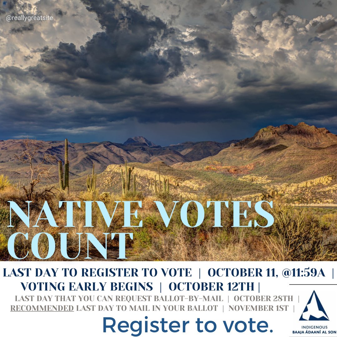 indigenousbaa's tweet image. Native Voting Counts.
Register to Vote in AZ by October 11th.

Photo: Robert Murray | Unsplash.com

#IBAA #NativeVotesCount #IVote #WeVote 
#IndigenousVote #NativeVote #AZVote #NativeEldersVote 
#NativeVoteAZ #oodhamvote #TohonooodhamVote #dinévote