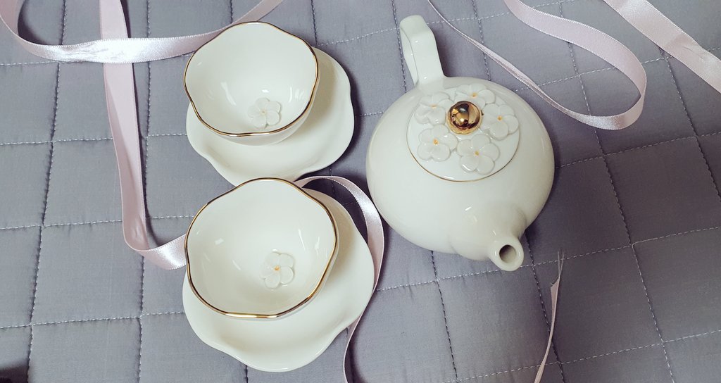 그레이캣 tweet media