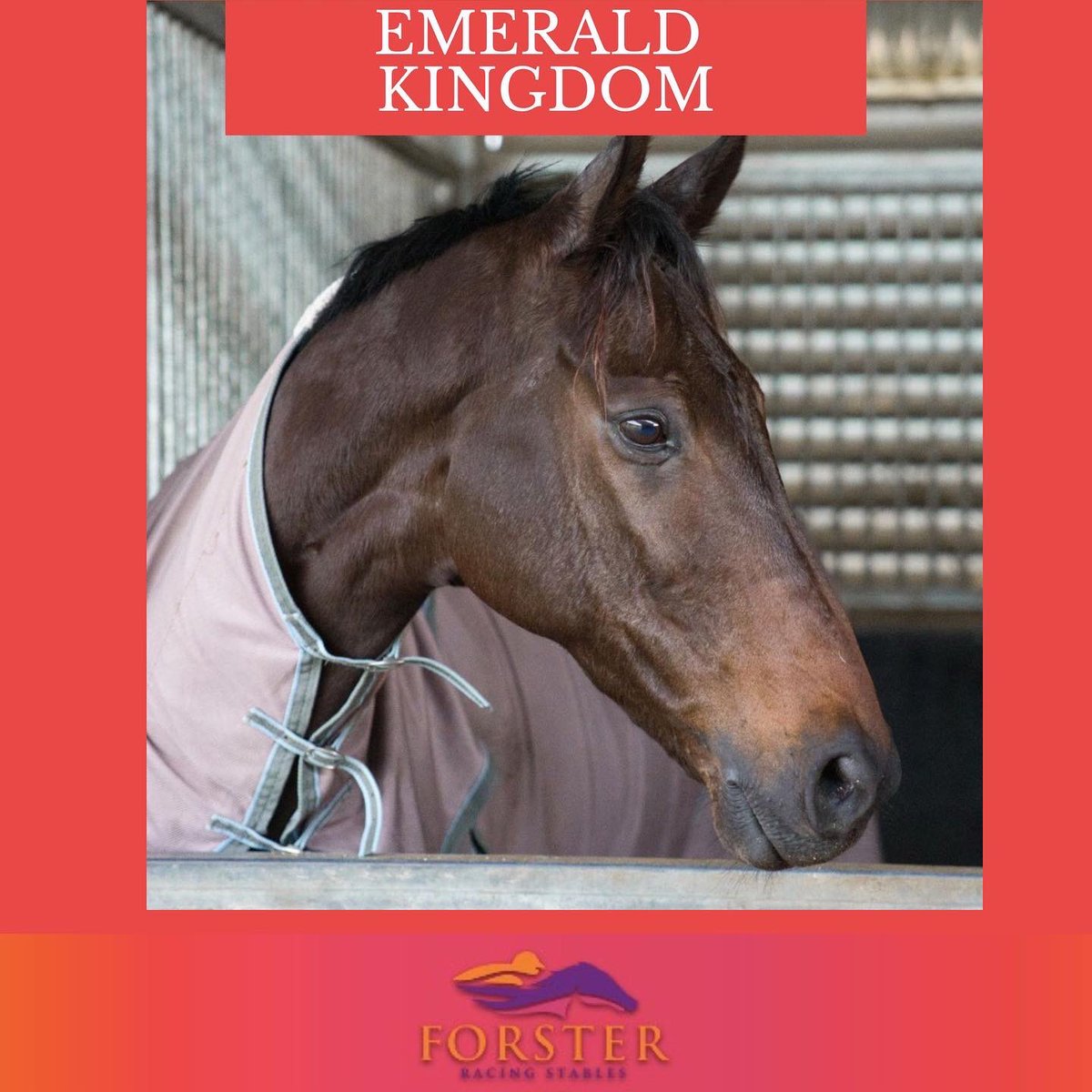 The last weekend in September and it's sunny and perfect. The team is heading west today with two runners at Toowoomba. 
Couldn't Refuse - R5 BM80 Hcp - 3:37pm
Emerald Kingdom - R8 WEETWOOD QLTY Hcp - 5:40pm

Have an amazing weekend everyone!
