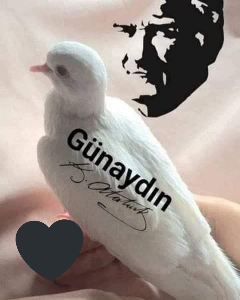 Günaydın  mutlu hafta sonları