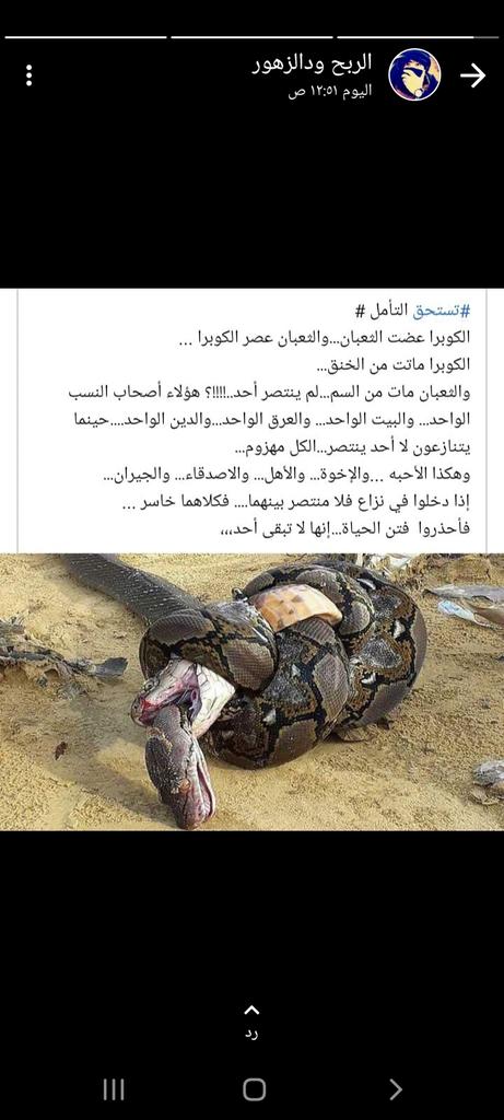 Motwaki (@motwaki1) on Twitter photo 