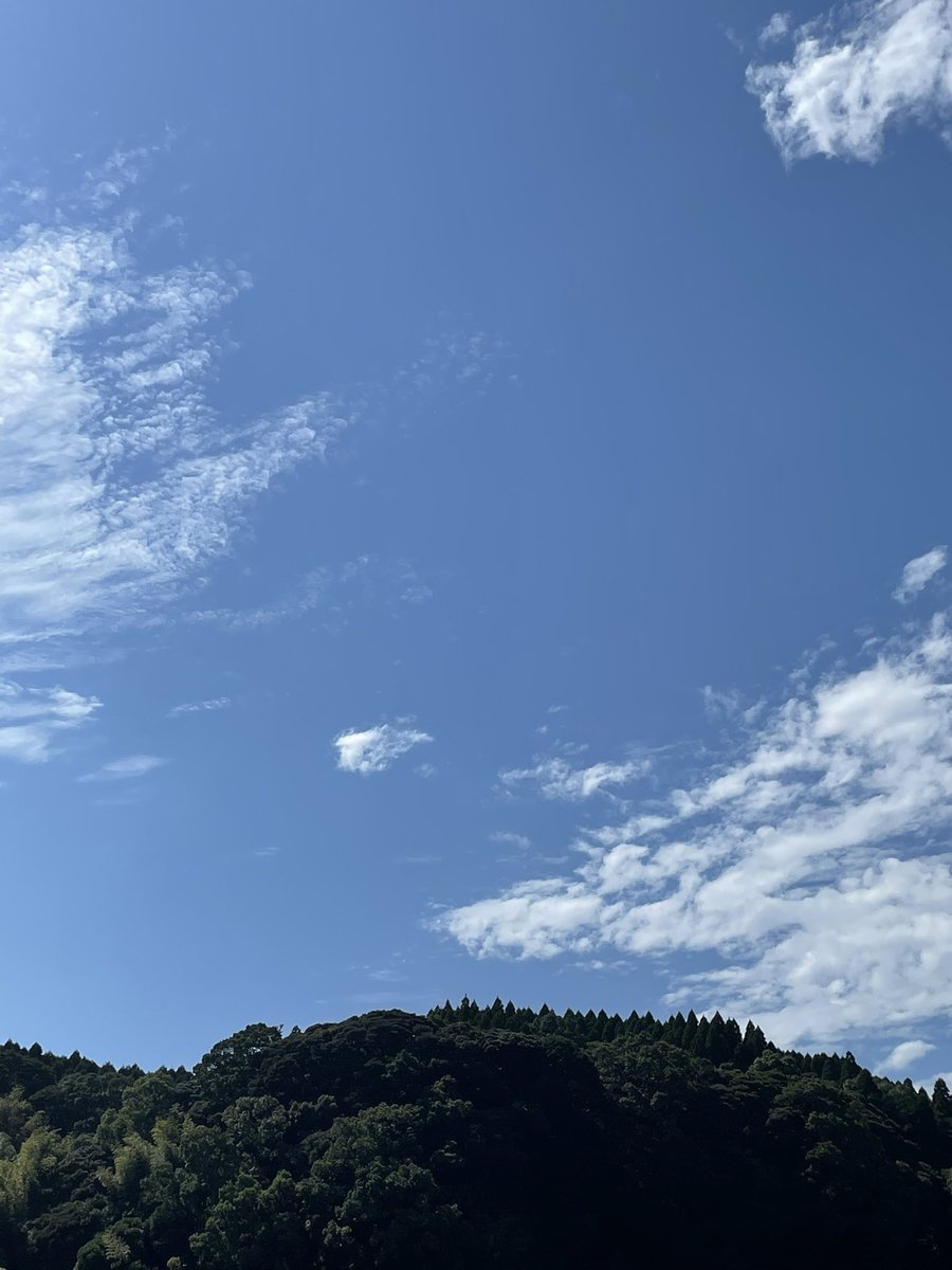 FLSBfltrk's tweet photo. 今日もツーリング日和
でも今日は、休息日
#Z900RS 
#Z900RS50th https://t.co/DYcvKquxOD