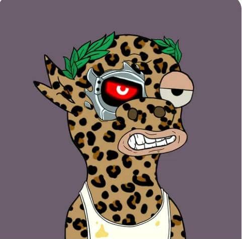 DuckCarli's tweet photo. @UglyMuckYC @0xSunNFT @DogeCIubNft @Aladina001 @carnota_96 https://t.co/kQpO2G88zk
