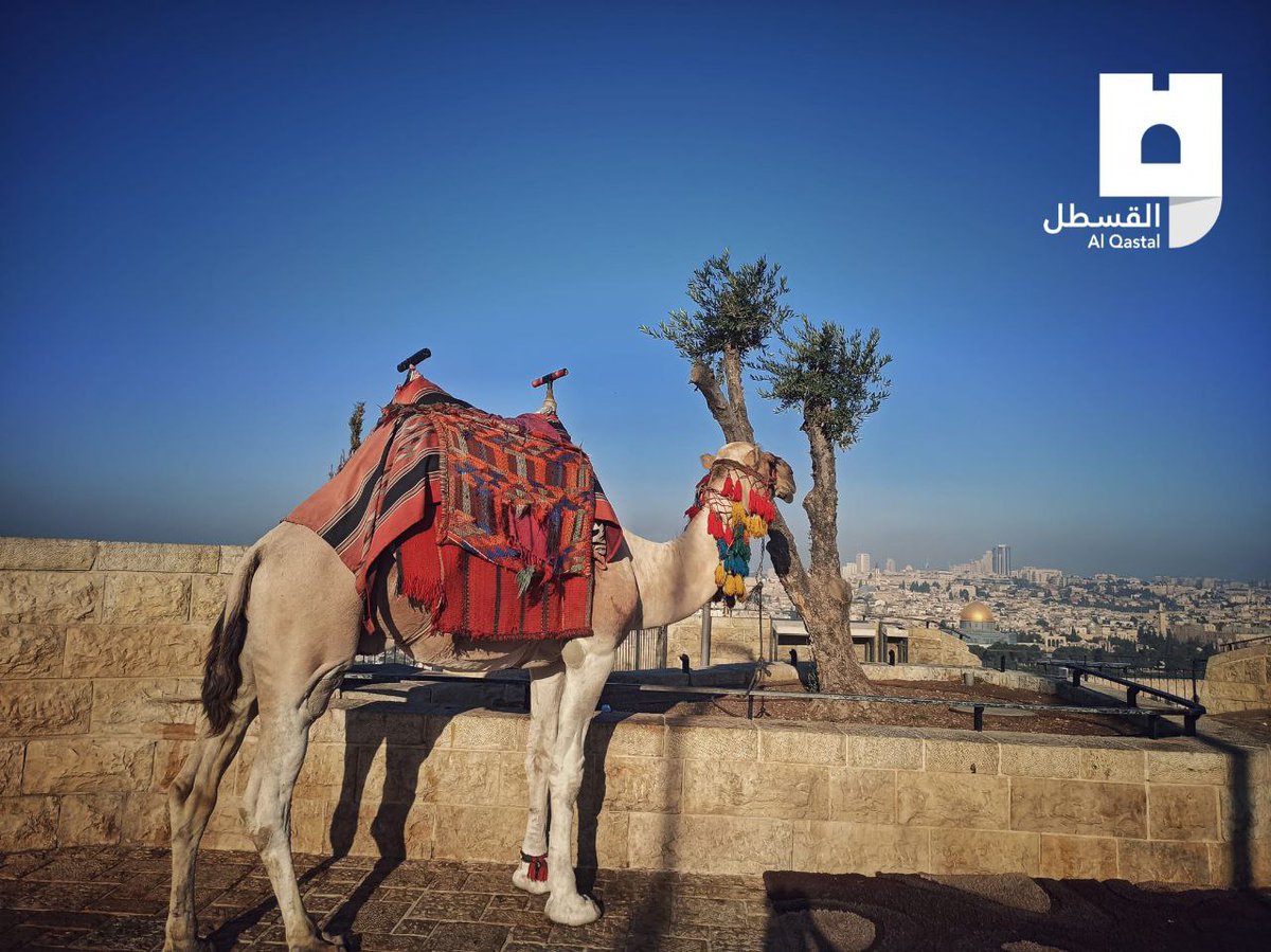 Sabahımız Kudüs olsun...