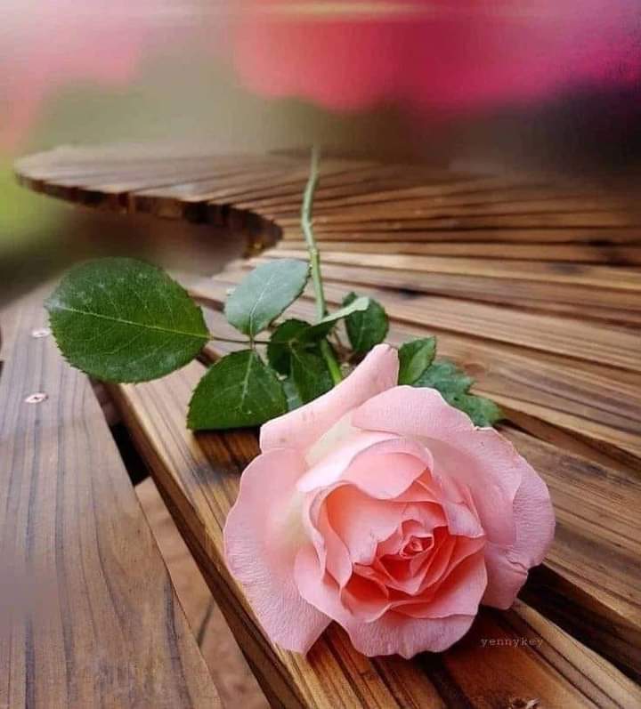 Dobro jutro svima 🌞
Lep vikend vam zelim 😘