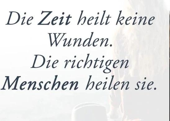 Rainer Herling (@rainerherling56) on Twitter photo 