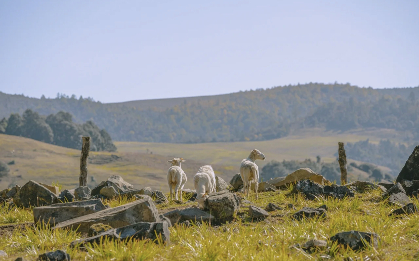 It's not a bad view.