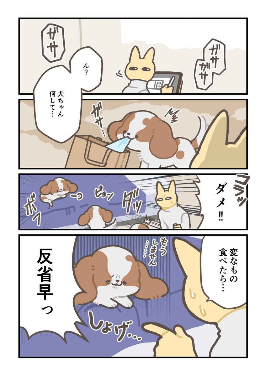 犬日記 懲りない 