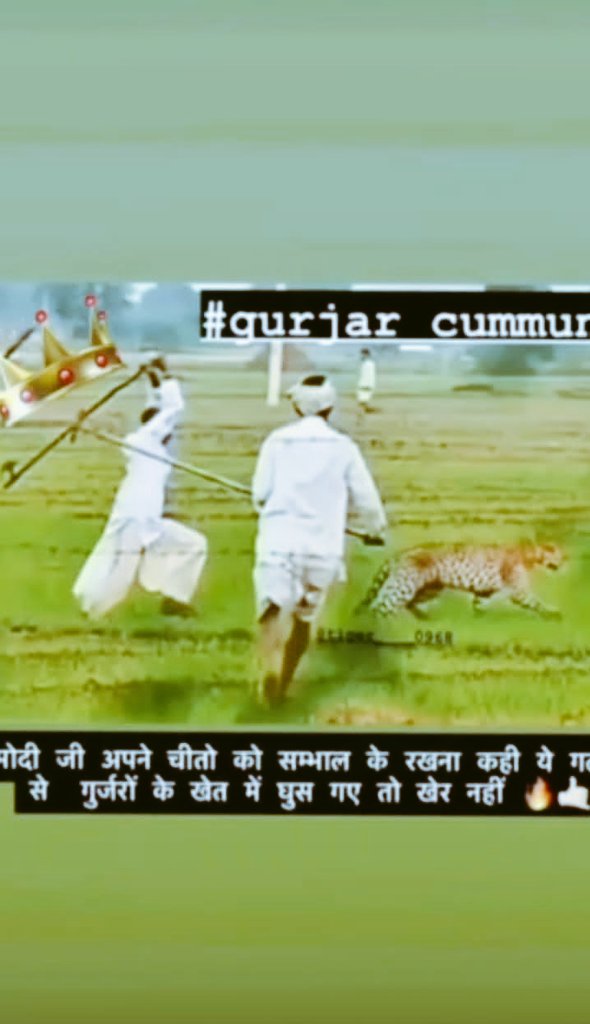 GurjarEkata's tweet photo. Ye gurjar hai💪 😎😂 https://t.co/pDl4TuQLjy
