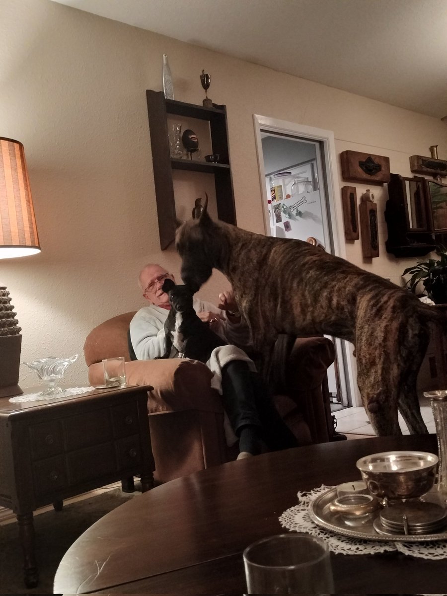 RichardFairgray's tweet photo. These dogs will kill a hostage every hour until you back our comic. #rtpt https://t.co/NN5LiySUaN