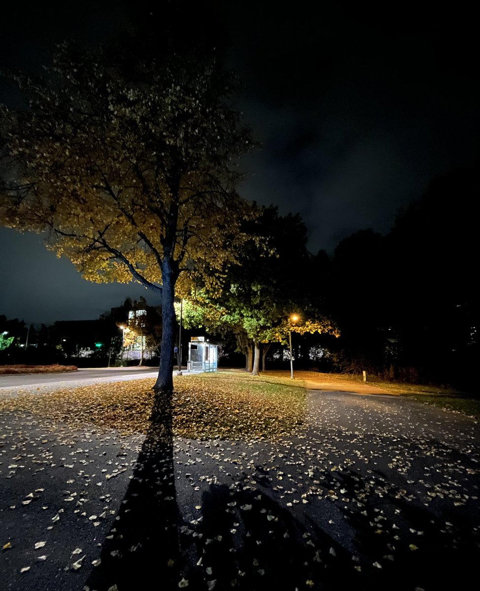 JukkaPartanen3's tweet photo. Stay in your grind - locked in very early morning #running 10km/6+miles +8°C/46°F #run #runner #training #outdoor #streetrunning #photography #streetphotography #landscapephotography #naturephotography #channel169 #ThePhotoHour #stormhour #ランニング #September https://t.co/8aTswWm9ys