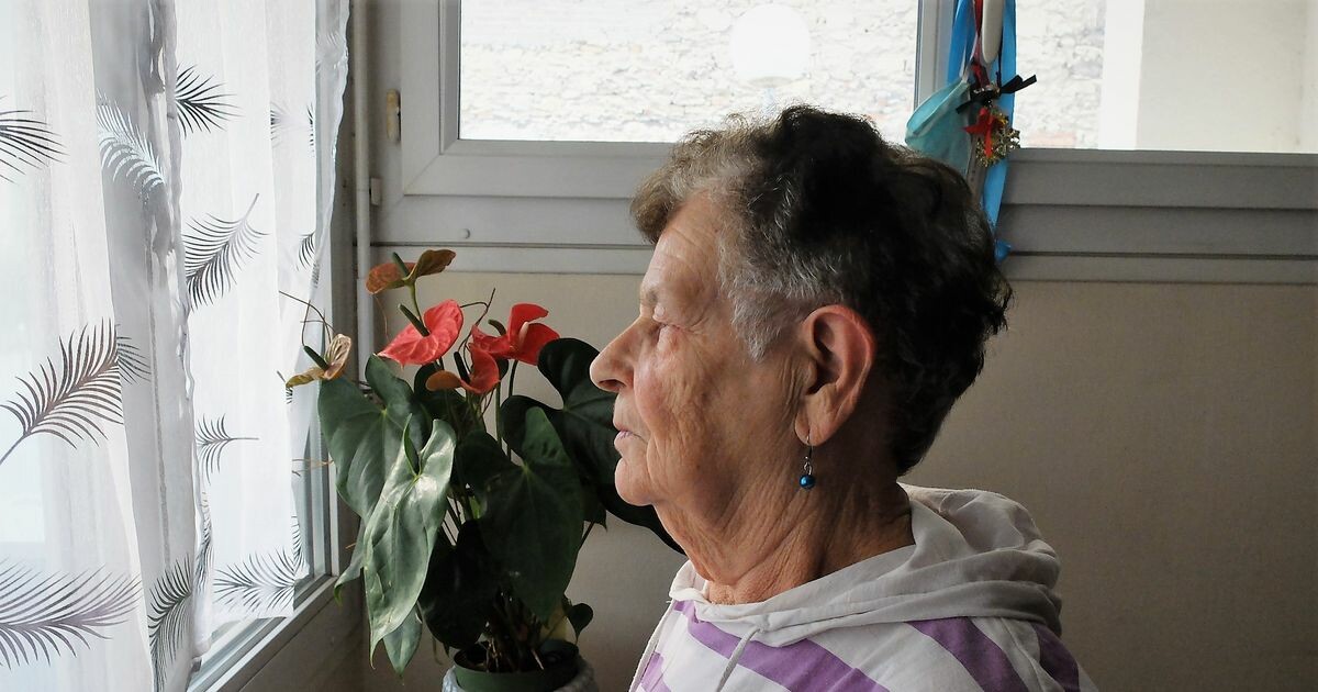 franceinter's tweet photo. Bernadette vit avec 883 € de retraite. Une fois les factures payées, il lui reste environ 15 € par jour. Mais elle s'en est toujours sortie, grâce à la débrouille.
➡️ https://t.co/3q1nEFrQ7v https://t.co/2PWbv9E8bS