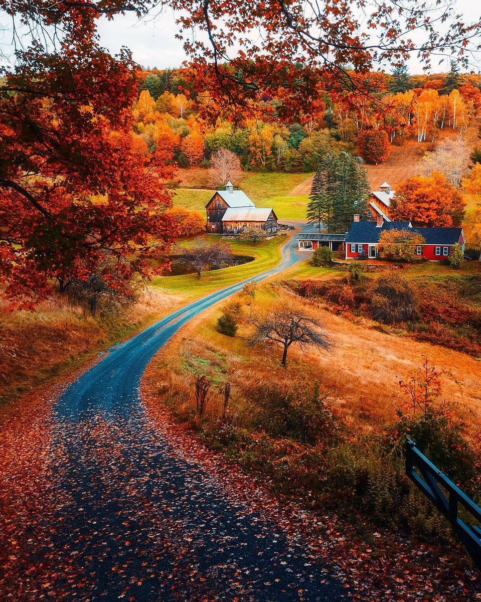 kuttikavithai's tweet photo. 🍁 Vermont. 

#autumn #usa #vermont #photo #photography #photooftheday #landscapephotography #landscape #america #nationalpark #nature #adventure #scenery #traveling #travelphotography #travelgram #naturephotography https://t.co/fH1vSXGFgS