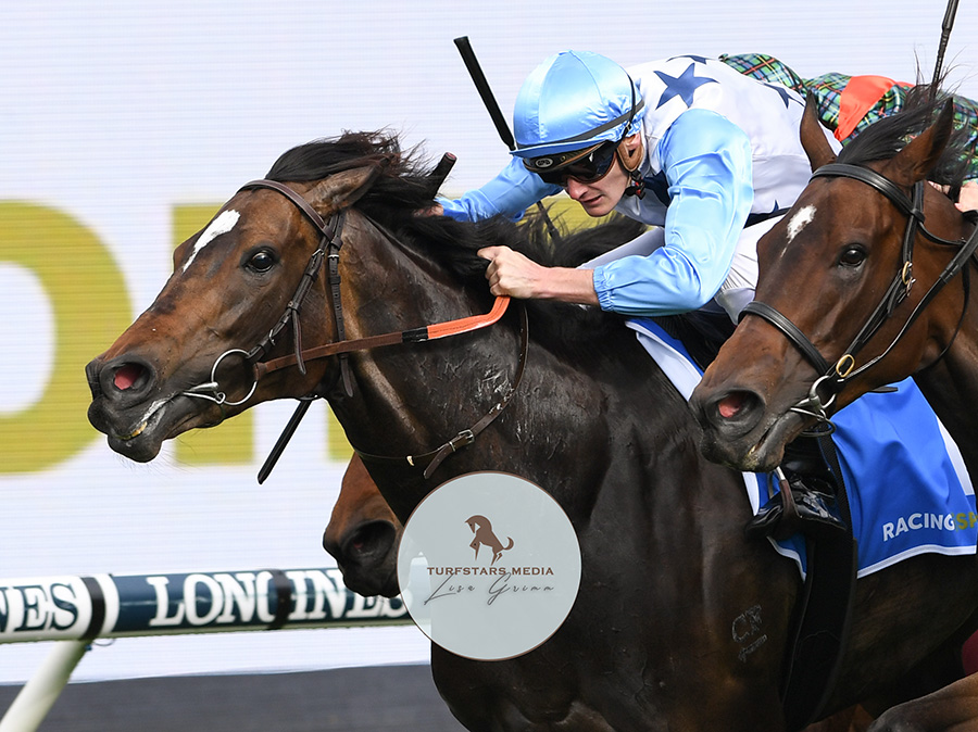 LisaGrimm9's tweet photo. The lovely daughter of So You Think #NIMALEE (x Dezign) wins another feature stakes race victorious in the Group 2 RACING &amp; SPORTS GOLDEN PENDANT (1400 METRES). 
Look at her determination ! https://t.co/pZVfivAFnm