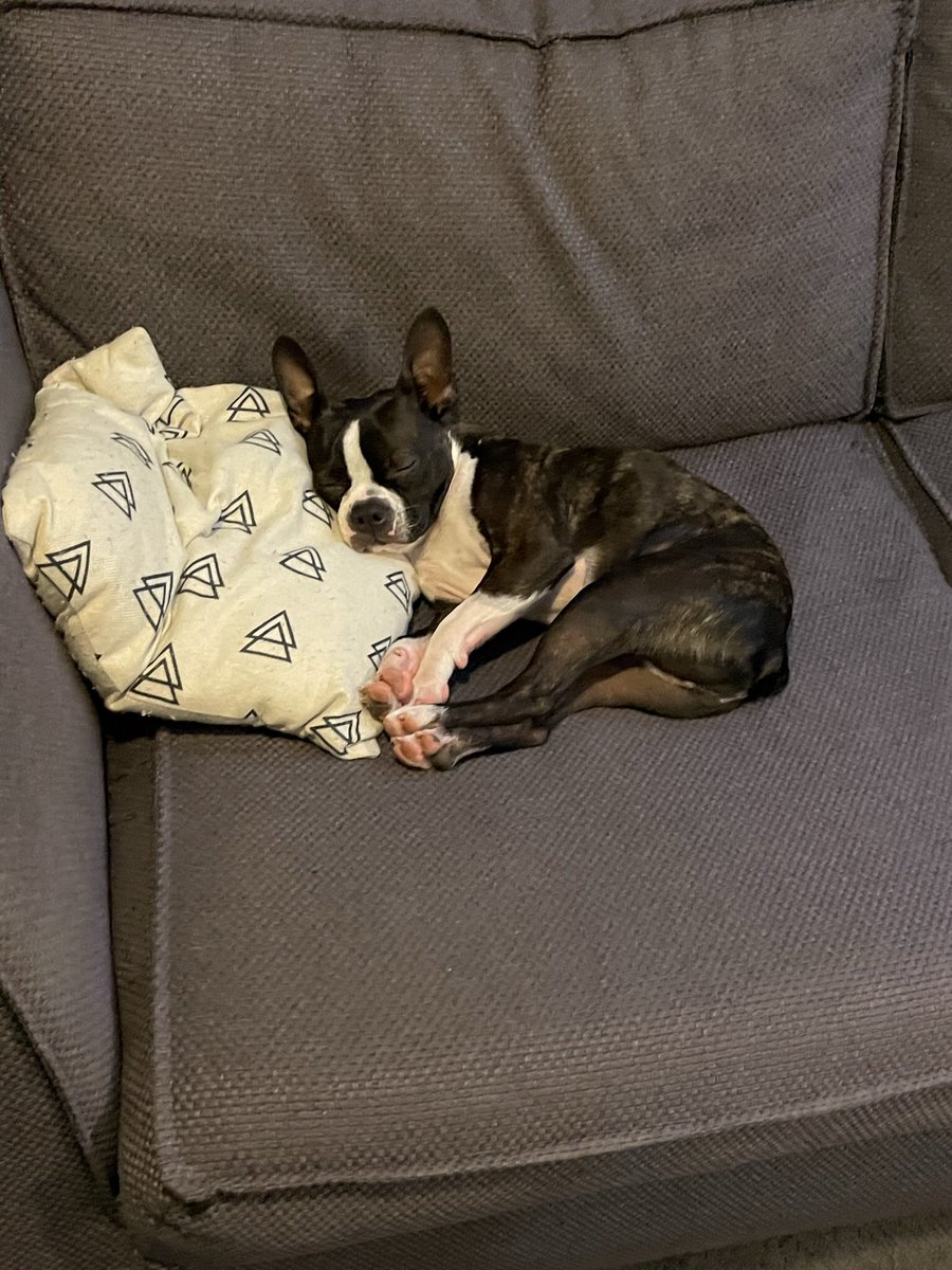 Chris Mackay tweet media