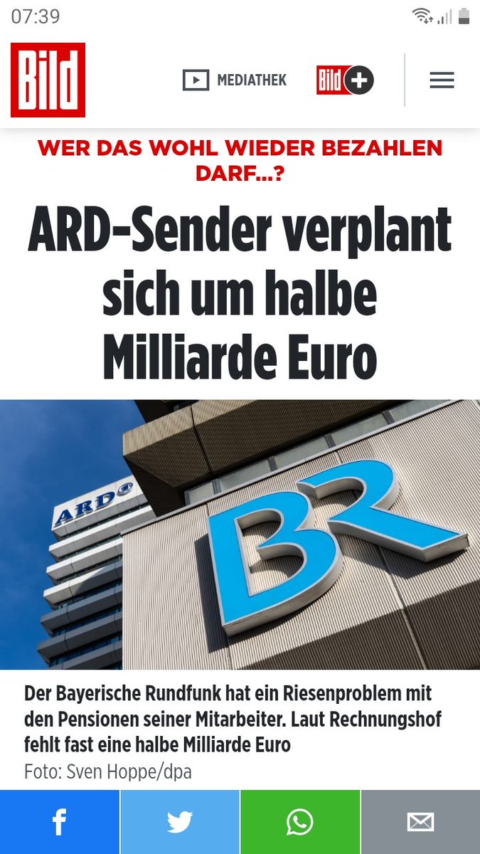 Fledermaus Hannes tweet media