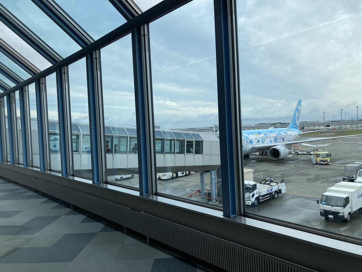 RyuseiHutaba's tweet photo. これで東京に戻って、ハシグチカナデリヤ4時間ワンマン！
体力が持つかどうか。 https://t.co/med5C71O0i