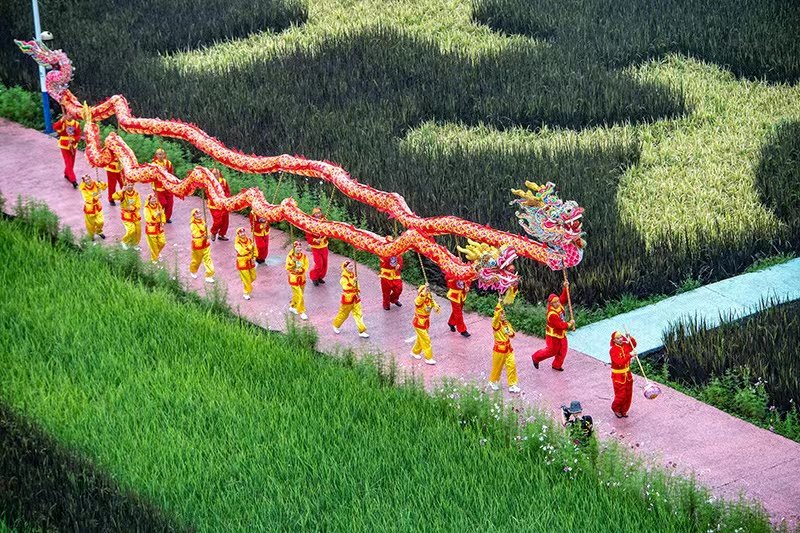iChongqing_CIMC's tweet photo. The harvest season in #Changhong Village, Dazu District, Chongqing is approaching, and the #giant rice field painting outlines the magnificent scene of golden #autumn, attracting many tourists.
Source: Xinhua https://t.co/nkinIuXxba
