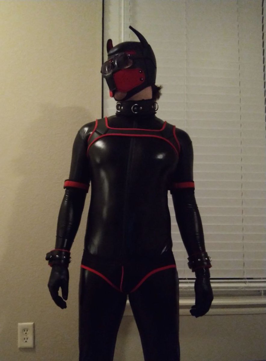 Pup Vector (@pvector221) on Twitter photo 