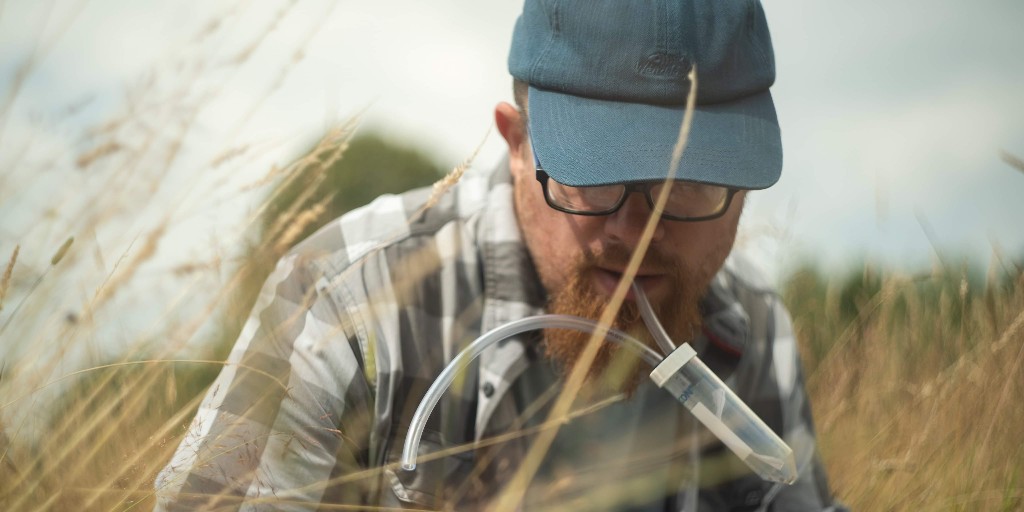 CumbriaUni's tweet photo. The @cumbriawildlife has Big Buzz fringe events in Carlisle this weekend. 

Today you can learn about insects from #cumbriauni zoology lecturer Dr Alex Dittrich, at @TullieHouse and also The Swifts, where you can help plant 4,000 native wildflowers for #pollinators.

@CarlisleCC https://t.co/RL7byzl8Ra