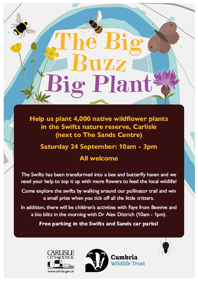 CumbriaUni's tweet photo. The @cumbriawildlife has Big Buzz fringe events in Carlisle this weekend. 

Today you can learn about insects from #cumbriauni zoology lecturer Dr Alex Dittrich, at @TullieHouse and also The Swifts, where you can help plant 4,000 native wildflowers for #pollinators.

@CarlisleCC https://t.co/RL7byzl8Ra