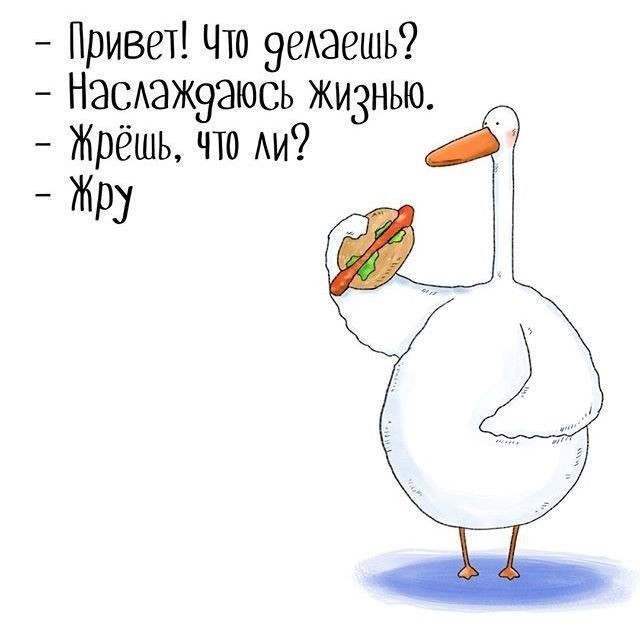 AngrySneakyFox's tweet photo. Любви к этим гусям пост.
Внезапный. https://t.co/Yl37cULqL8