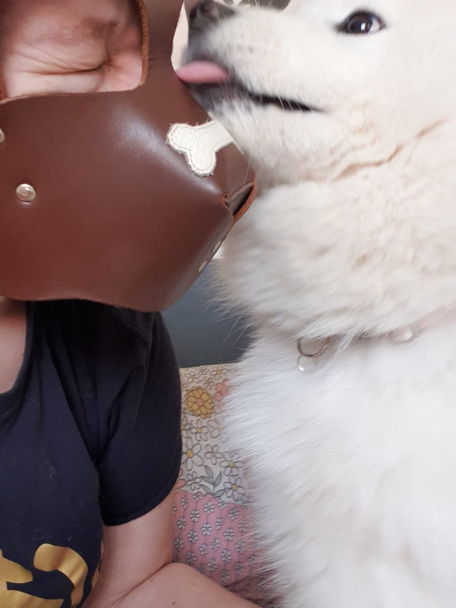 ScruffPupp tweet media